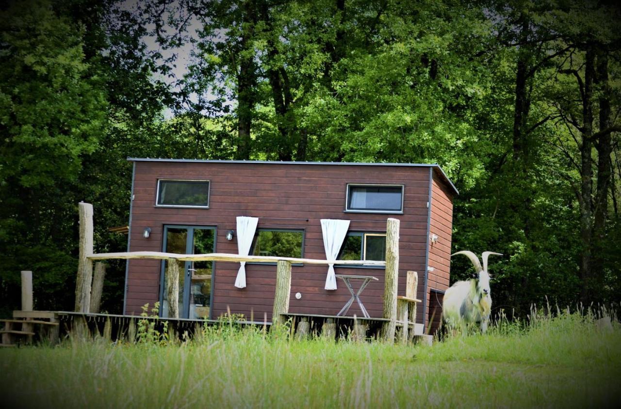 Apartament La Tiny House Terra Nostra Saint-Bazile Zewnętrze zdjęcie